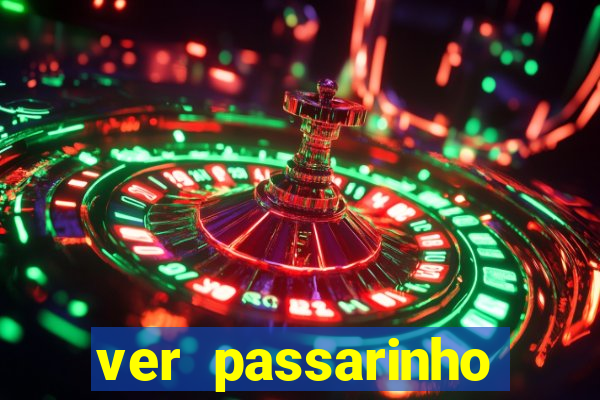 ver passarinho morto significado espiritual